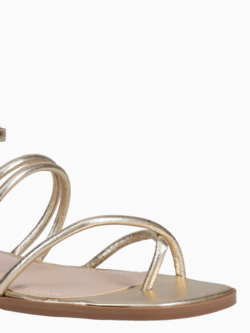 Kallima Ouro Light Cristal Gold / 5 / M