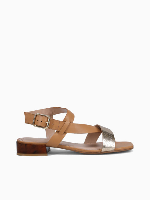 Tess Ouro Camel cobra Toscana Gold / 5 / M
