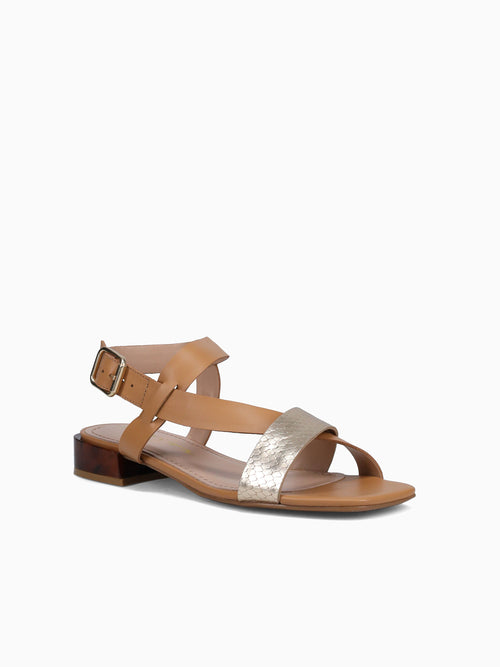 Tess Ouro Camel cobra Toscana Gold / 5 / M