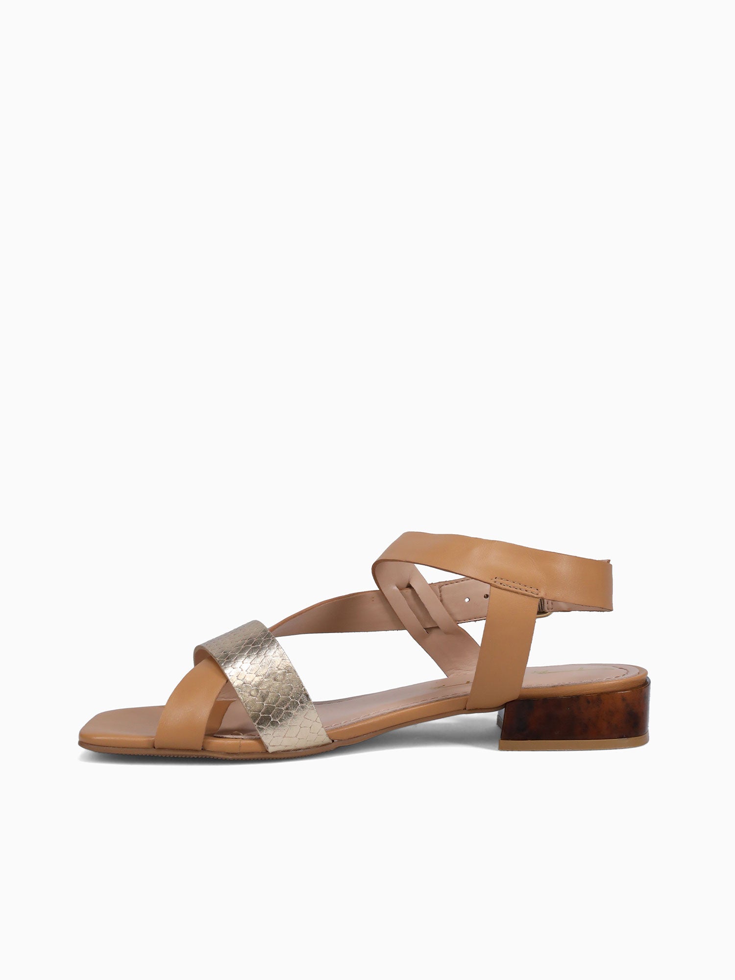 Tess Ouro Camel cobra Toscana Gold / 5 / M