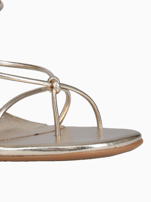 Zaneta Ouro Light Ipanema Gold / 5 / M