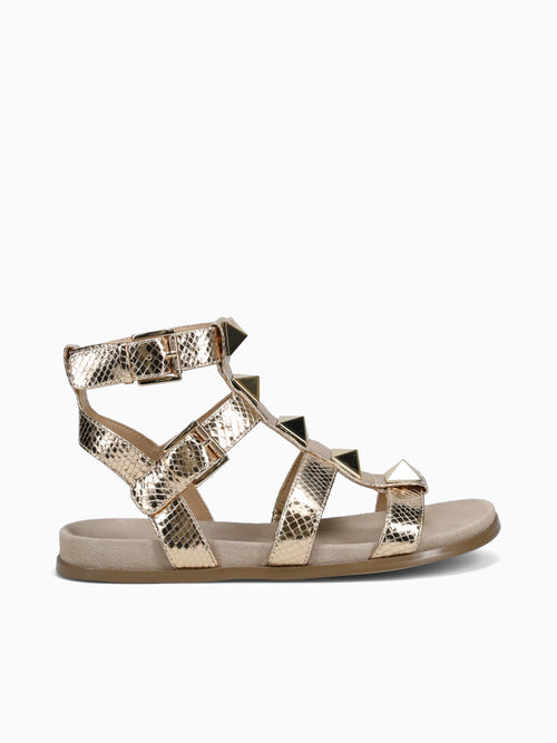 Wren Gladiator Pale Gold Snake Gold / 5 / M