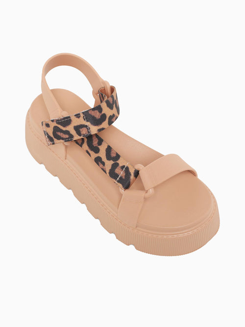 Groove Hazelnut Jlastic Tan / 5 / M