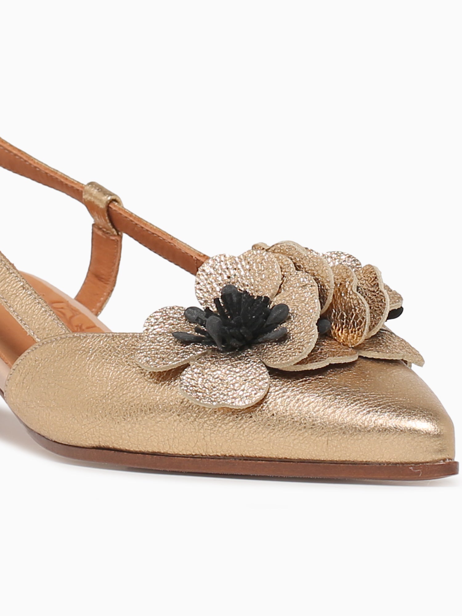 Hazel Platino Agnes Gold / 5 / M