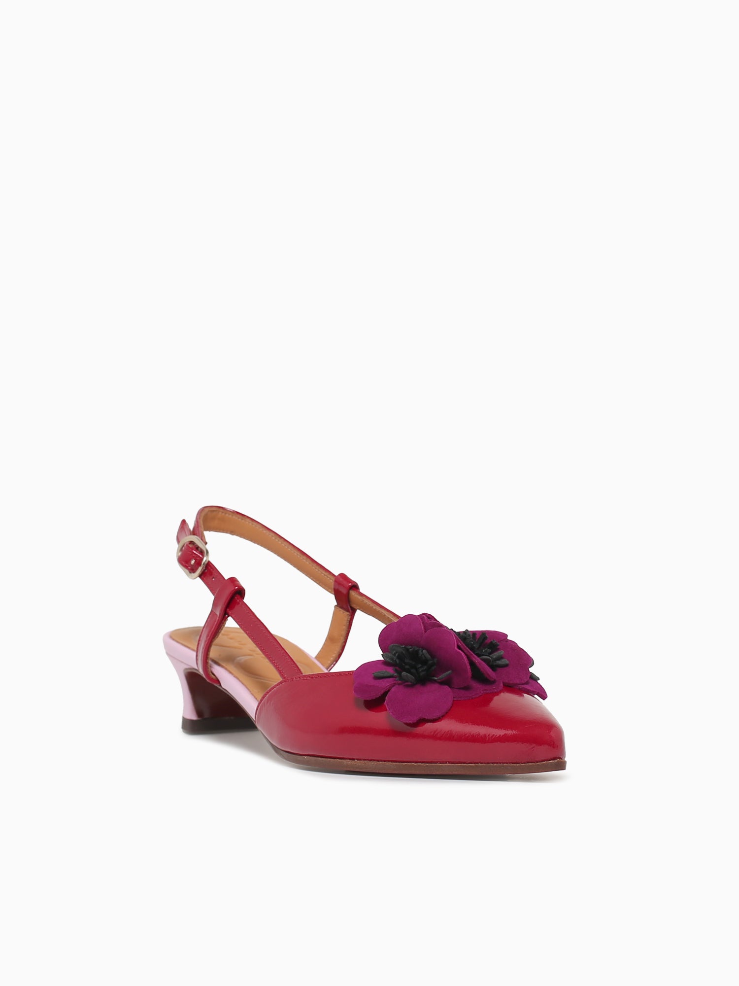 Hazel Rojo Pruna Pink sucre Ante Red / 5 / M