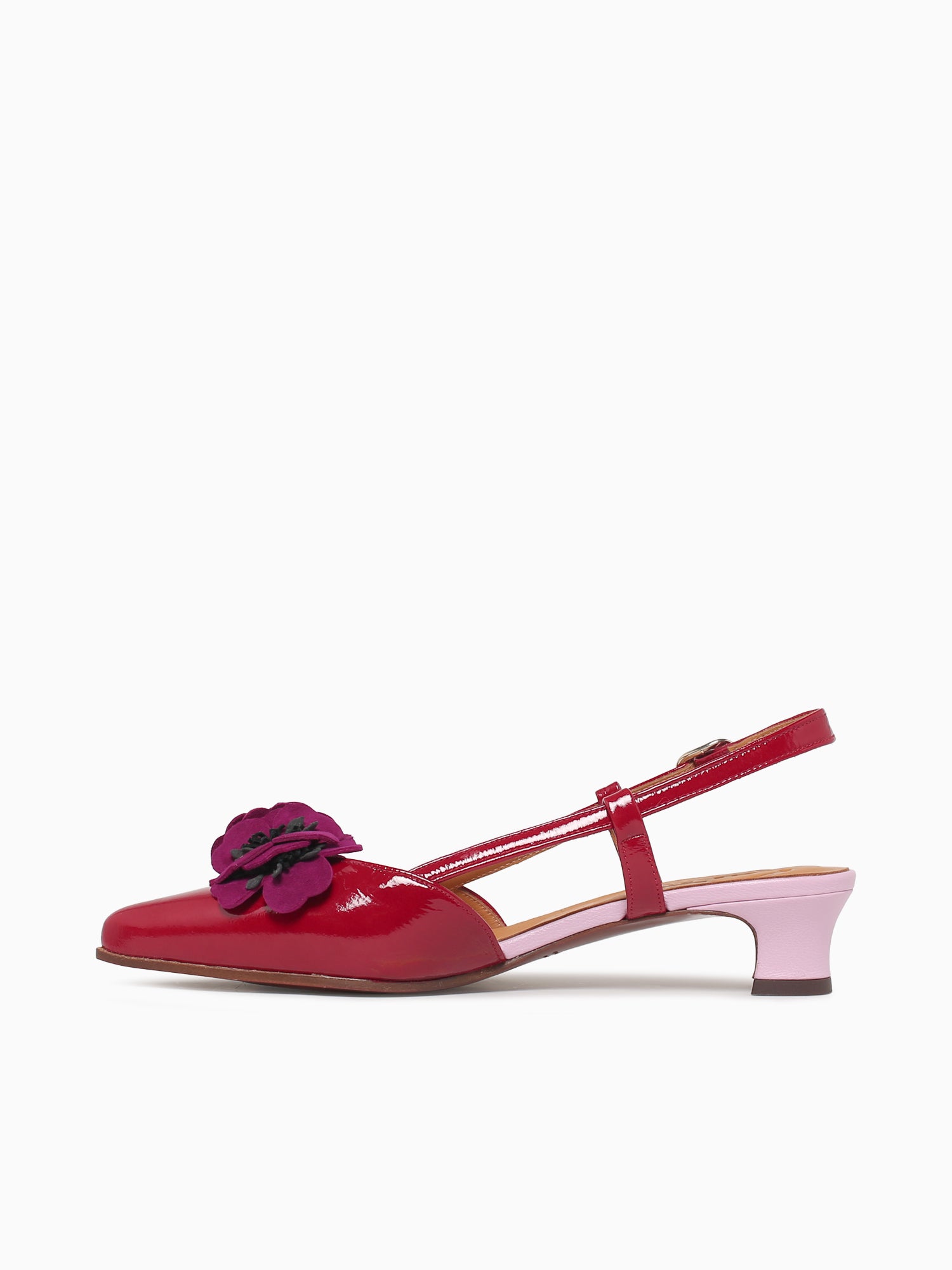 Hazel Rojo Pruna Pink sucre Ante Red / 5 / M