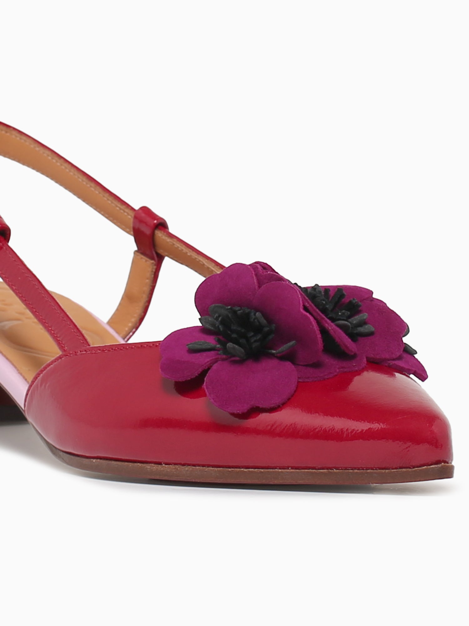 Hazel Rojo Pruna Pink sucre Ante Red / 5 / M