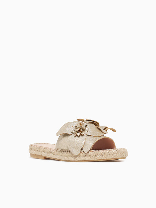 Minnie Gold Metalico Gold / 5 / M