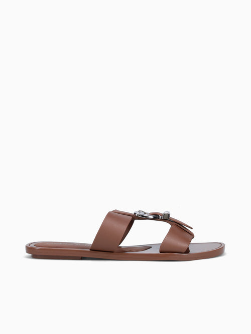 Jimmy Chocolate Jlastic Brown / 5 / M