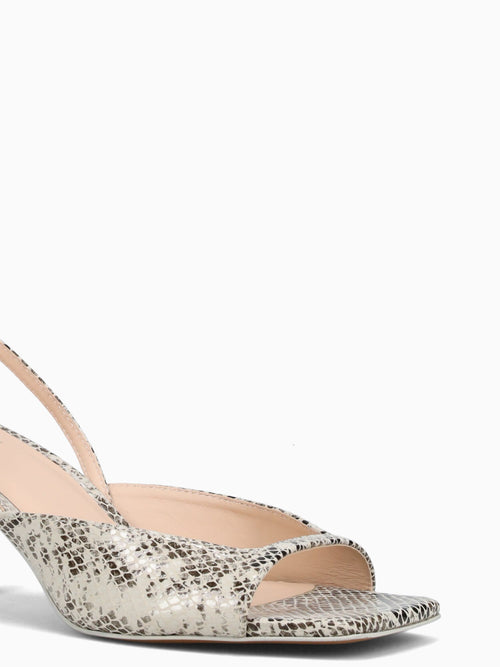 Gabria Bege Nova Snake Beige Multi / 5 / M