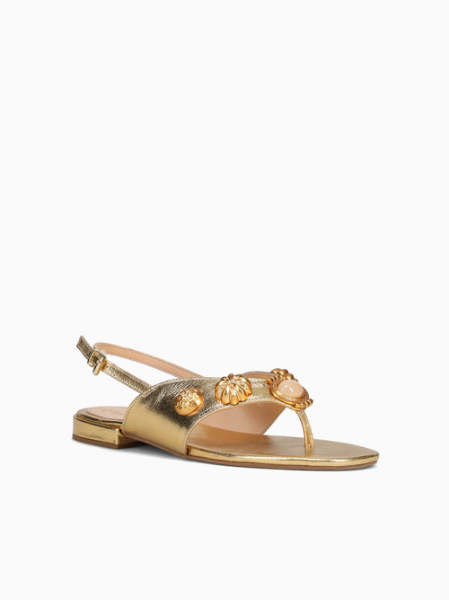 Frederica Ouro Cristal Gold / 5 / M