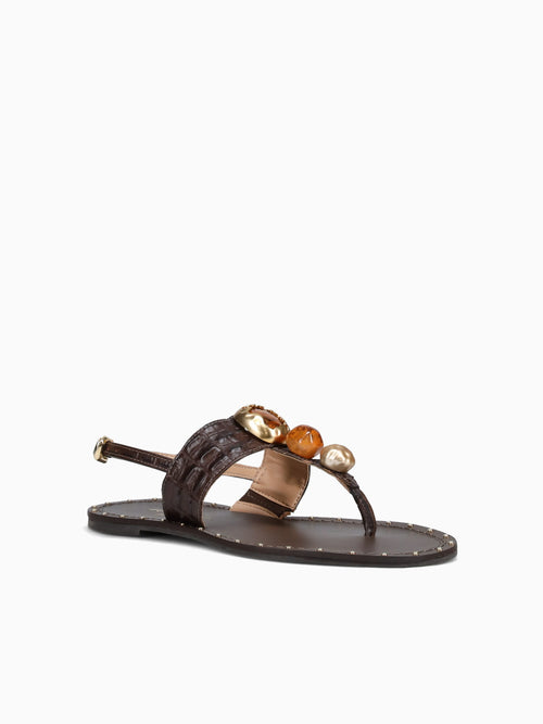 Frin Café Cocodrillo Brown / 5 / M