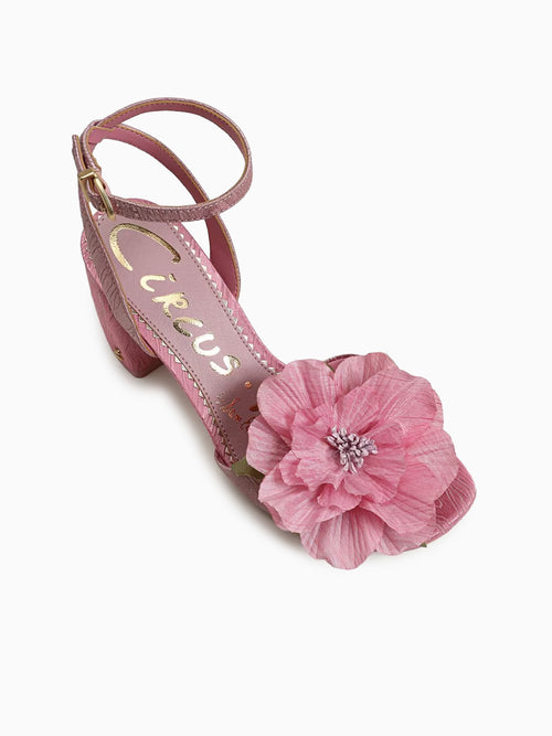 Aria Flower Rosette Blush Fabric Pink / 5 / M