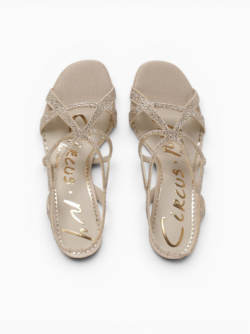 Louisa Sea Shell Fabric Champagne / 5 / M