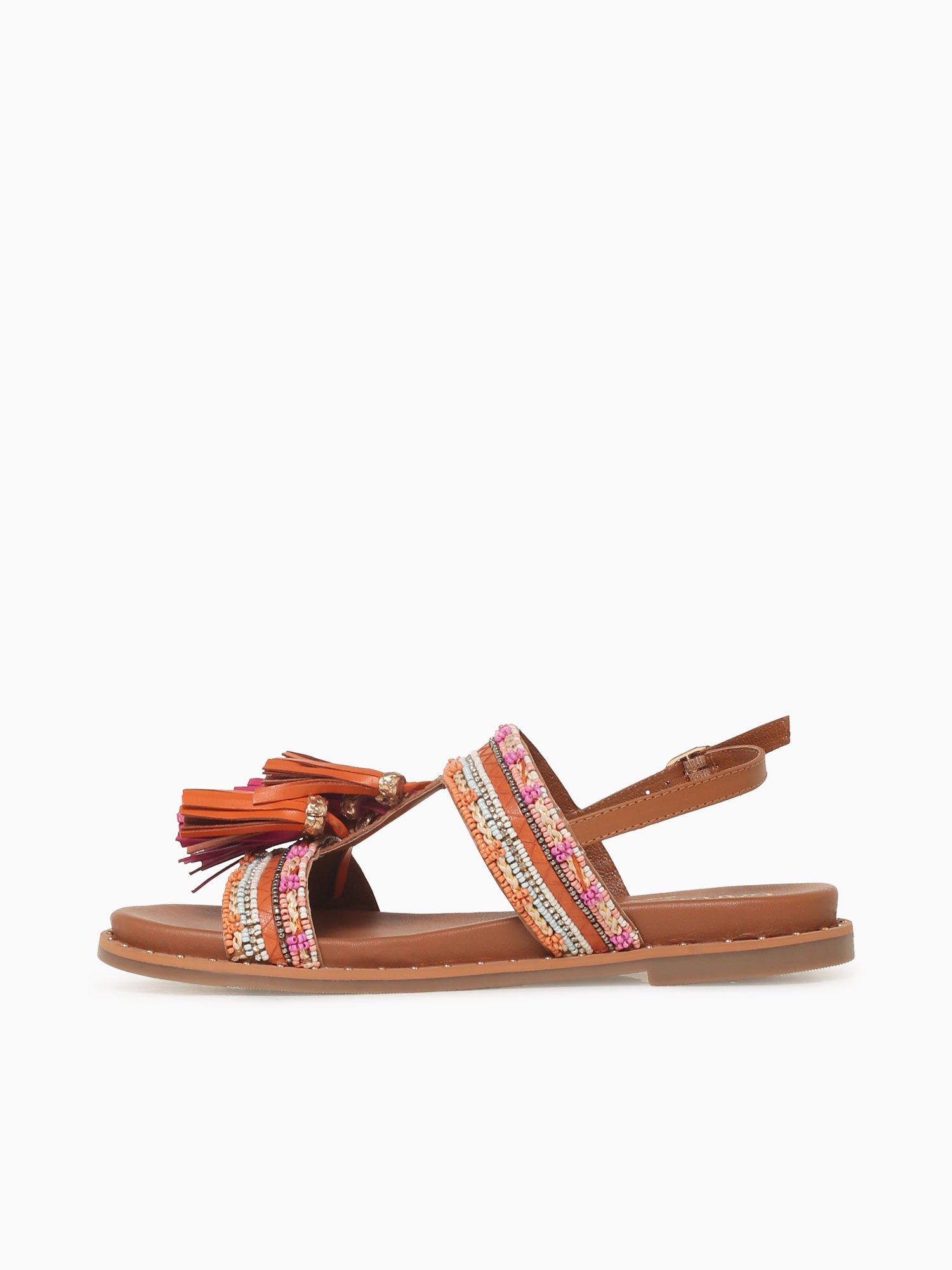 Carlotta Camel