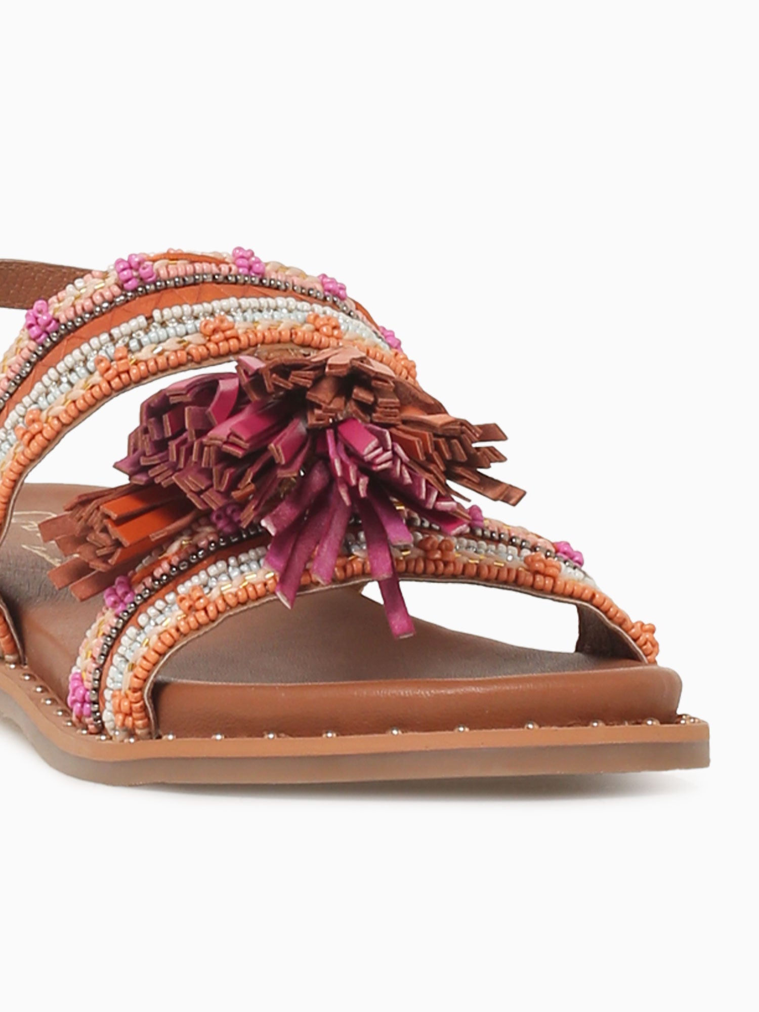 Carlotta Camel