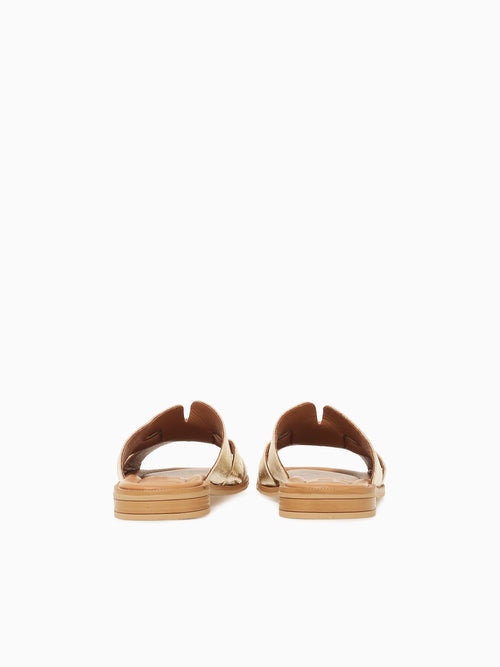 Carley 163059 Oro Piel Gold / 5 / M