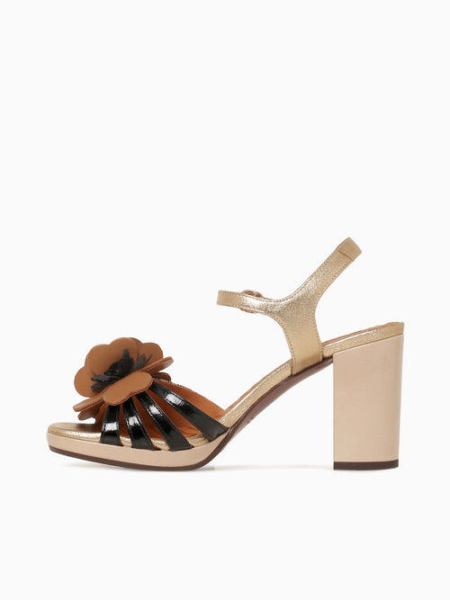 Parlota Negro Cuero Champagne sucre