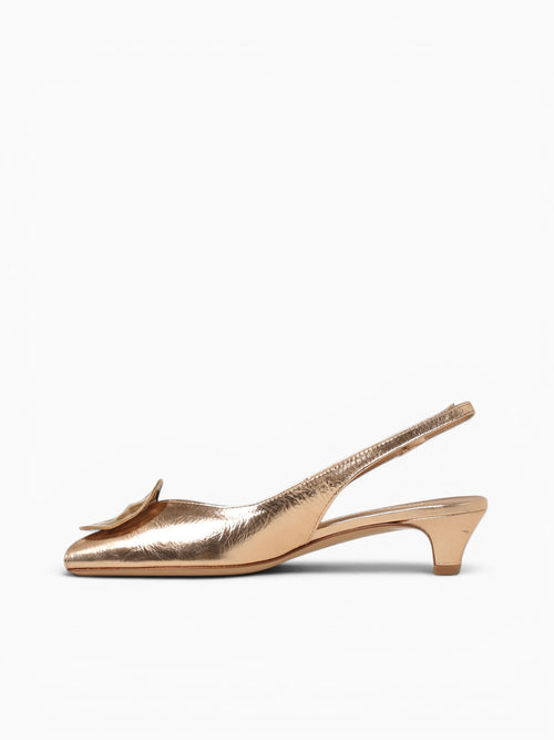 Mirjana Catalina Boemia Gold / 36 / M