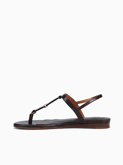 Amber T.moro Saratoga Brown / 5 / M