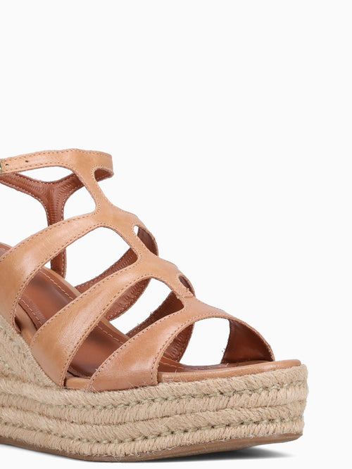 Amiham Coconut Torino Brown / 5 / M