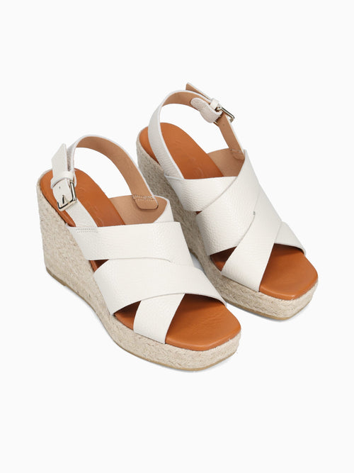 245014ca Croco1m Oxford / M