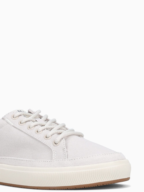 Coast Taupe Canvas Taupe / 7 / M