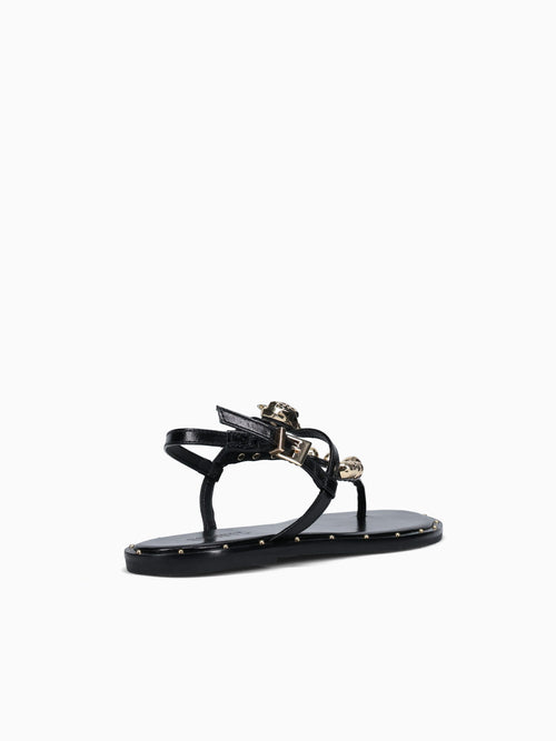 Shaila Black Bright Casein Black / 5 / M