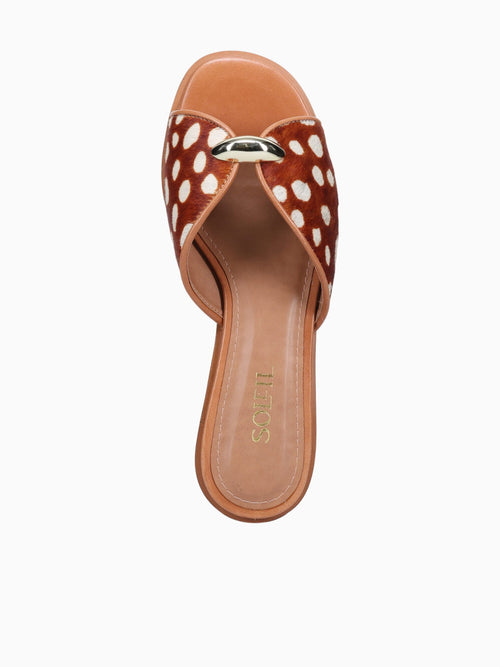 Armida Chestnut Bambi torino Pelo Brown / 5 / M