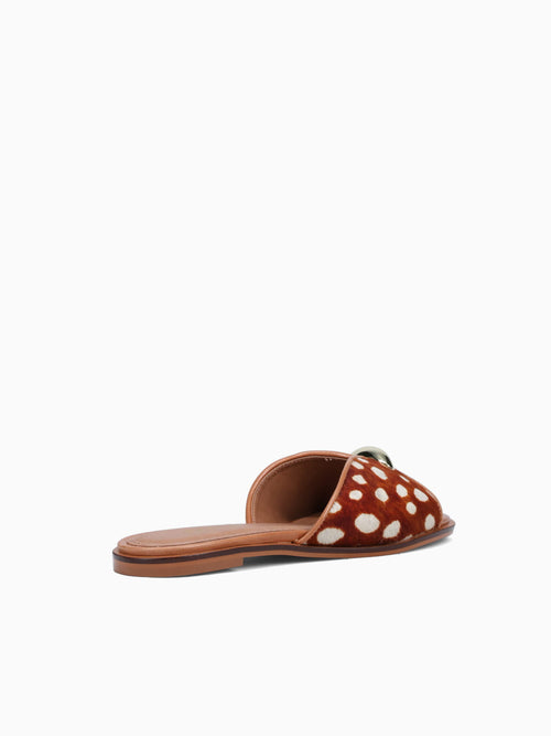 Armida Chestnut Bambi torino Pelo Brown / 5 / M