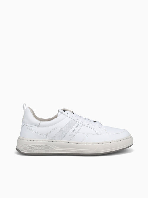 Bold Branco Leather White / 7 / M