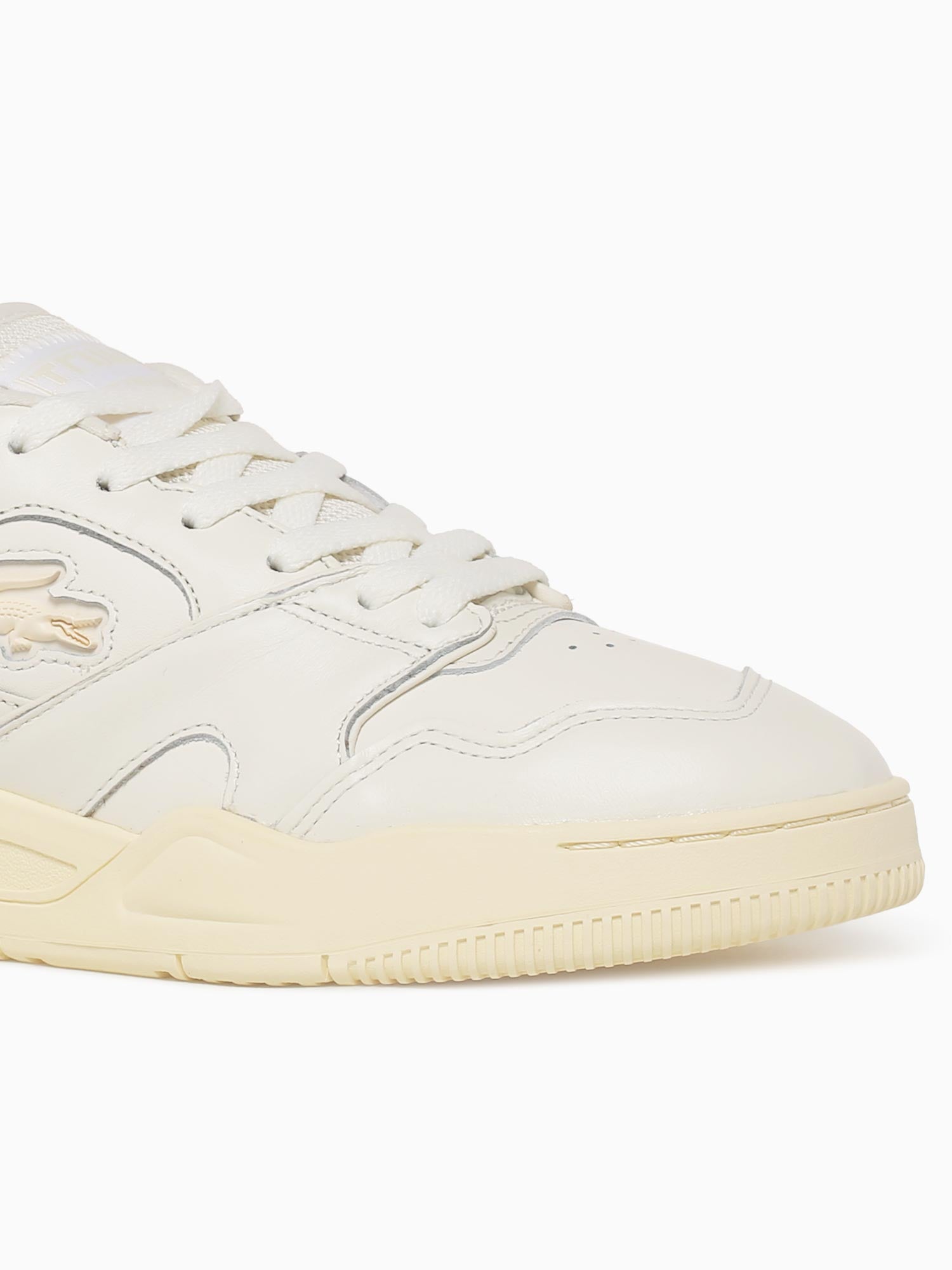 Lineshot Off Wht Lt ylw– La Favorita