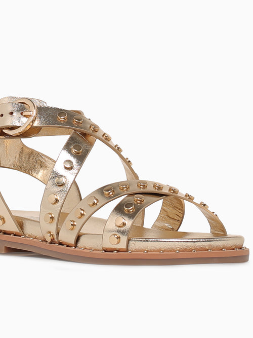 Carisma 162393 Oro Piel Gold / 5 / M