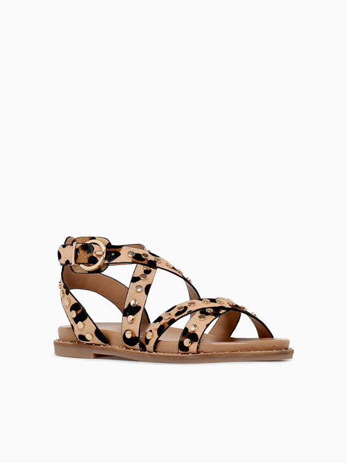 Carisma 162393 Leopardo Piel Multi / 5 / M