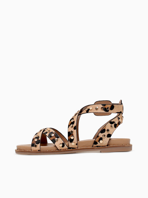 Carisma 162393 Leopardo Piel Multi / 5 / M