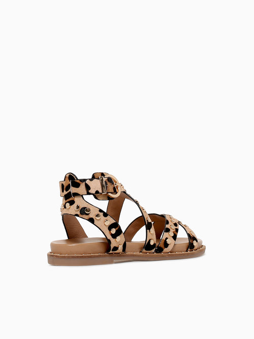 Carisma 162393 Leopardo Piel Multi / 5 / M