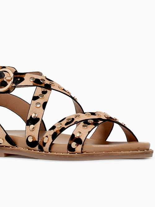 Carisma 162393 Leopardo Piel Multi / 5 / M