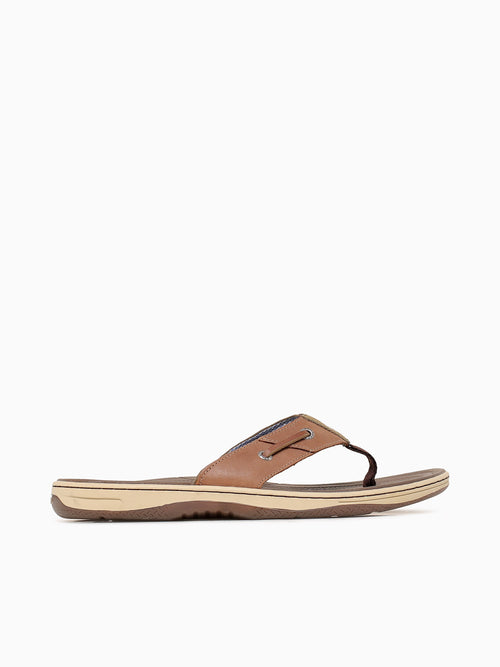 Baitfish Thong Tan Leather Tan / 7 / M