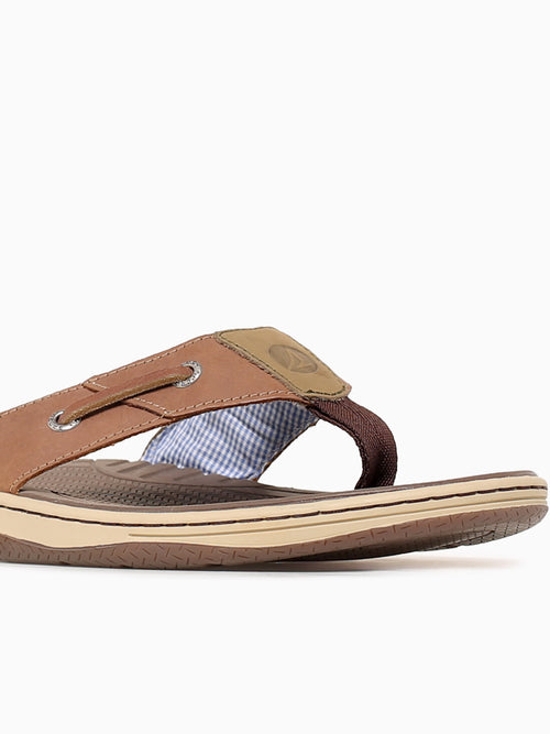Baitfish Thong Tan Leather Tan / 7 / M