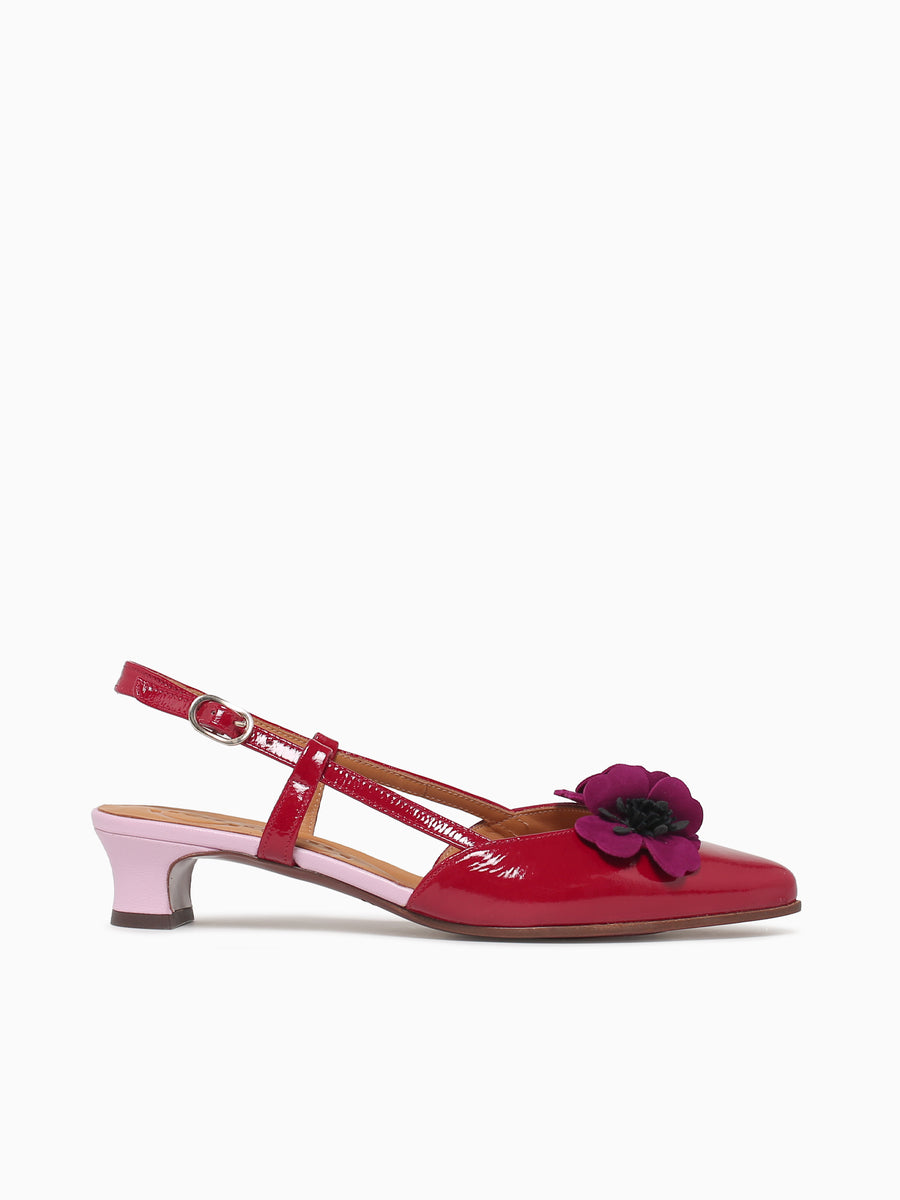 Hazel Rojo Pruna Pink sucre Ante Red / 5 / M