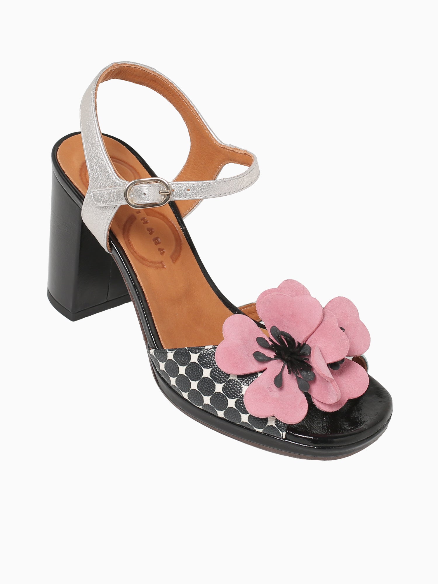 Parlota Acqua Negro Silver dali Dotman Multi / 5 / M