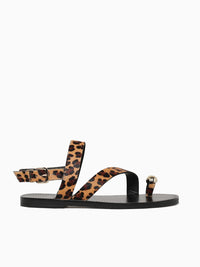 Torey Leopardo Pelo Black Brown / 5 / M