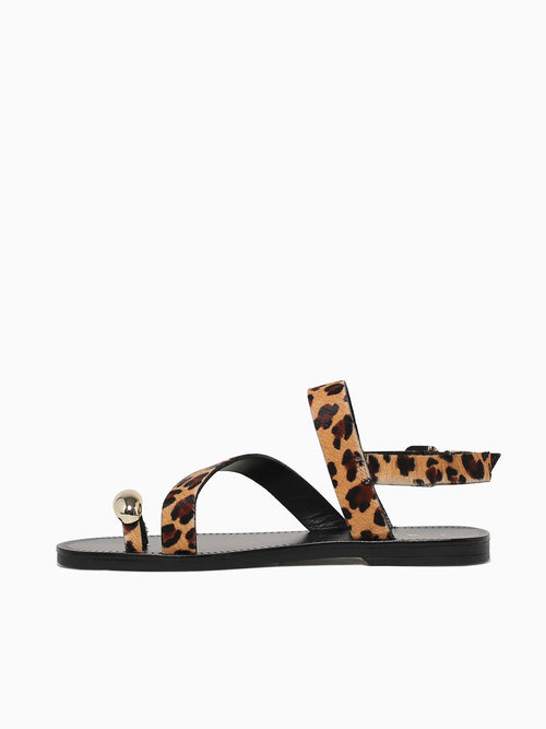 Torey Leopardo Pelo Black Brown / 5 / M