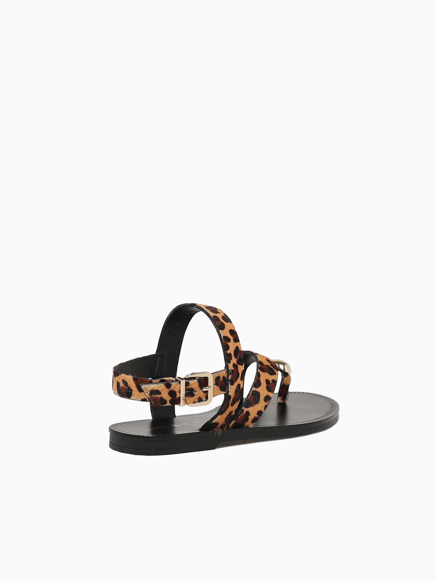 Torey Leopardo Pelo Black Brown / 5 / M