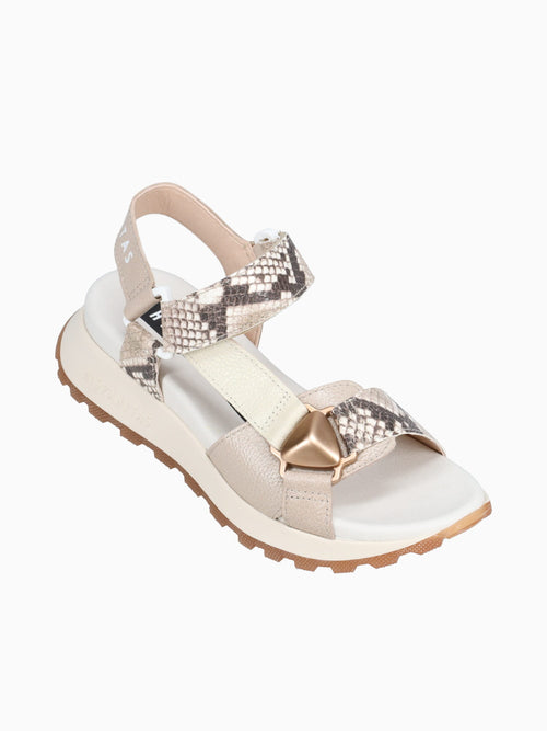Maui Taupe Taupe Latte cervo Snake Cervo Taupe / 5 / M