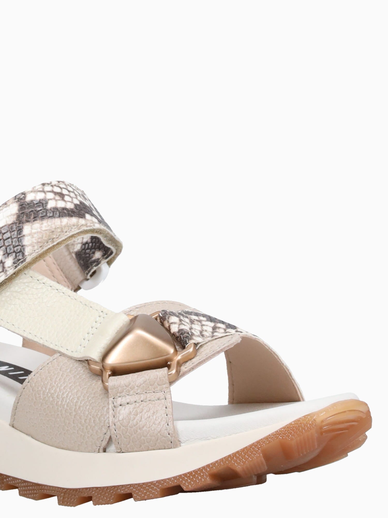 Maui Taupe Taupe Latte cervo Snake Cervo Taupe / 5 / M