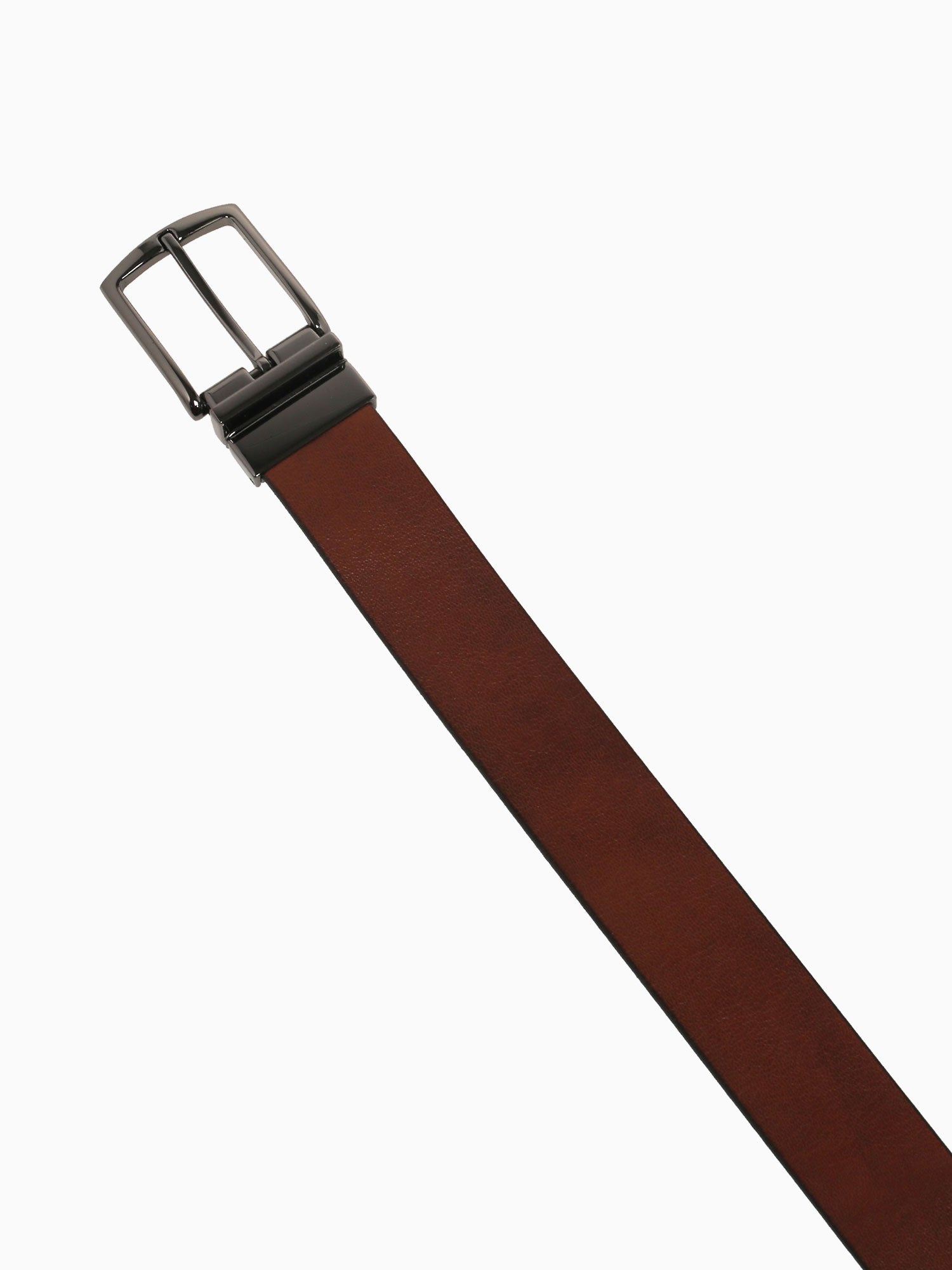 Panya Preto Tan cerviato