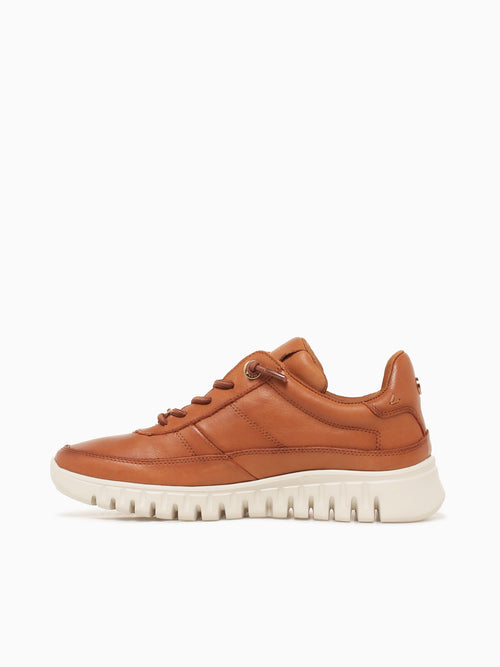 Carizma 162525 Camel Piel Cognac / 5 / M