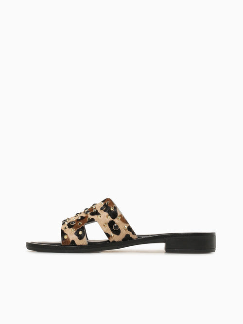 Scarlet Leopardo Cavallino Black Brown / 36 / M