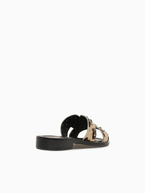 Scarlet Leopardo Cavallino Black Brown / 36 / M
